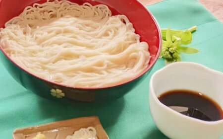 生そうめん 100g×5人前×2セット 