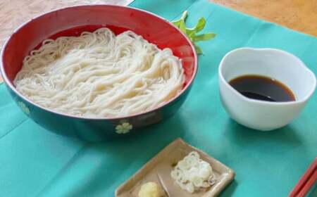 生そうめん 100g×5人前×2セット 