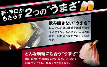 【定期便10か月】アサヒスーパードライ 500ml（1ケース）  ビール アサヒビール