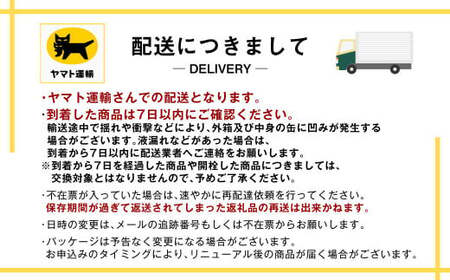 【定期便3か月】アサヒ生ビール(マルエフ)500ml×24本(1ケース)
