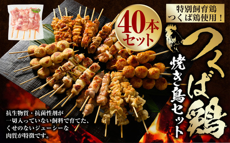 つくば鶏 焼き鳥セット 40本 焼き鳥 焼鳥 もも肉 ネギま ネギ間 鶏皮 つくね 串 串焼き 茨城県 守谷市