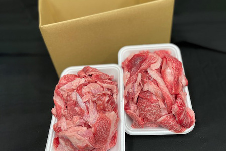国産 牛スジ肉 500g×2 合計1kg 小分け 茨城県産 牛すじ煮込み おでん カレー 冷凍