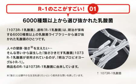 【定期便 6回】明治 プロビオヨーグルトR-1ドリンク砂糖不使用 112g×24本×6回 ヨーグルトドリンク◇