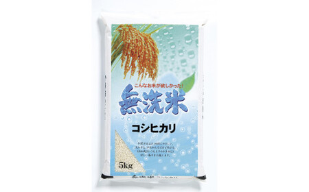 【無洗米】令和7年産茨城コシヒカリ 10kg　5kg×2