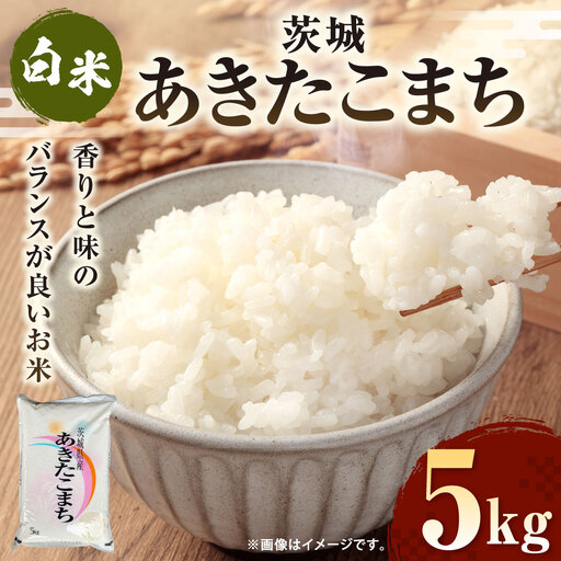 令和7年産 茨城あきたこまち 5kg 1袋 あきたこまち 白米 精米 ごはん お米 国産 茨城県産 守谷市 送料無料