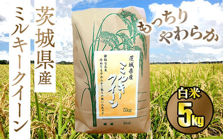 ☆もっちりやわらか 令和5年 茨城県産ミルキークイーン5kg【白米