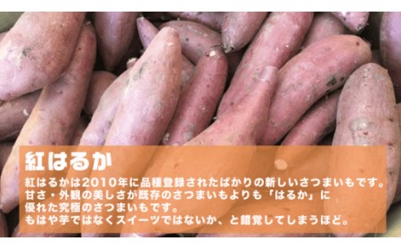 オーガニックさつまいも5kg【農薬・肥料不使用】【茨城県共通返礼品 つくばみらい市】 ※2024年10月下旬～2025年2月下旬頃発送予定