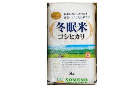 令和6年産 コシヒカリ 冬眠米 5kg 茨城県産 白米 精米 ごはん お米 冬眠 とうみんまい ブランド米 検査米 単一原料米 国産 守谷市 送料無料