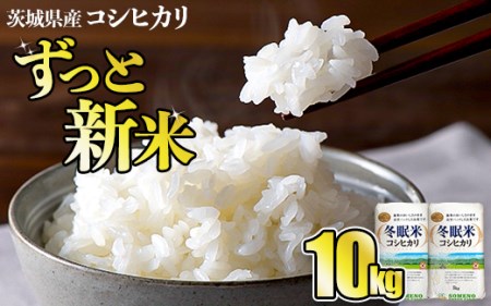 令和6年産 コシヒカリ 冬眠米 10kg 茨城県産 白米 精米 ごはん お米 冬眠 とうみんまい ブランド米 検査米 単一原料米 国産 守谷市 送料無料