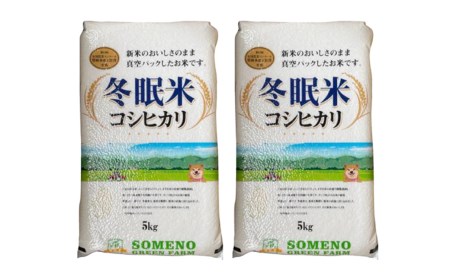 令和6年産 コシヒカリ 冬眠米 10kg 茨城県産 白米 精米 ごはん お米 冬眠 とうみんまい ブランド米 検査米 単一原料米 国産 守谷市 送料無料