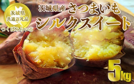 開店祝い kk様専用 茨城県産 超熟成シルクスイート 20キロ 食品