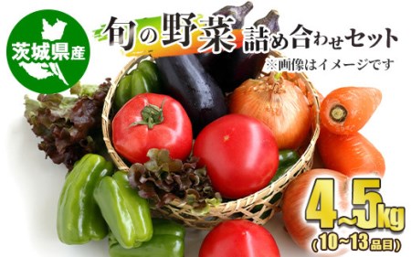 旬の野菜詰め合わせセット 10～13品目 4～5kg