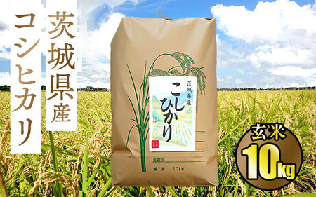 令和5年茨城県産コシヒカリ10kg【玄米】