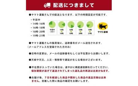 【3ヶ月定期便】　三ツ矢サイダー ゼロ 500ml × 1ケース (24本)