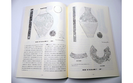 宿尻遺跡 1冊 弥生時代 報告書 壺形土器 茨城県 【常陸大宮市教育委員会事務局文化スポーツ課】【ho1309】