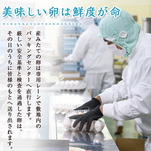 三ツ星レストランや一流料理人が愛するブランド卵『奥久慈卵』赤 30個 たまご タマゴ 鶏卵 玉子 卵 ミネラル 冷蔵便 茨城県 新鮮 臭みのないおいしい卵 赤卵 食品 普段使い用 パック包装 産地直送 養鶏場直送 こだわり卵 安全 【株式会社ひたち農園】【ho1312】