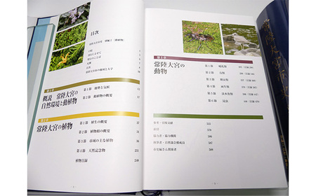 常陸大宮市史 別編2 自然 1冊 近世 藩と村 生業 災害 信仰 茨城県 【常陸大宮市教育委員会事務局文化スポーツ課】【ho1318】
