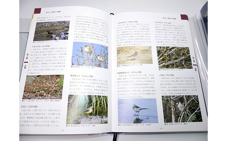 常陸大宮市史 別編2 自然 1冊 近世 藩と村 生業 災害 信仰 茨城県 【常陸大宮市教育委員会事務局文化スポーツ課】【ho1318】