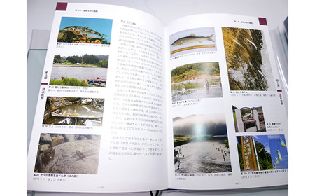 常陸大宮市史 別編2 自然 1冊 近世 藩と村 生業 災害 信仰 茨城県 【常陸大宮市教育委員会事務局文化スポーツ課】【ho1318】