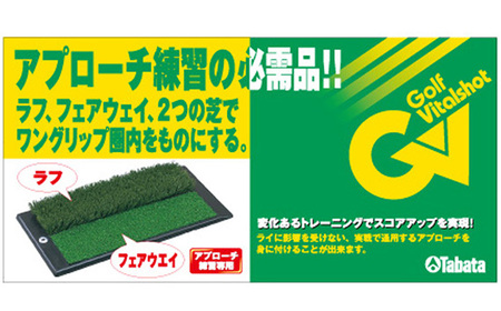 タバタ Tabata 2WAYアプローチパンチャーGV0260 練習 ゴルフ ラフ フェアウェイ トレーニング 茨城県 【テンポイント（株）】【ho1321】