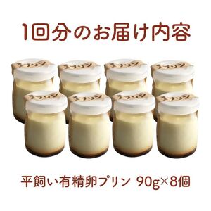 環の花 平飼い有精卵プリン 8個 3ヶ月定期便 スイーツ お菓子 濃厚 新鮮 国産 ぷりん 冷蔵 おやつ デザート たまご 贈り物 グルメ プレゼント 洋菓子 プリン スイーツギフト 詰め合わせ 誕生日 内祝い 高級 3ヶ月 定期便 【環の花】【ho1393】