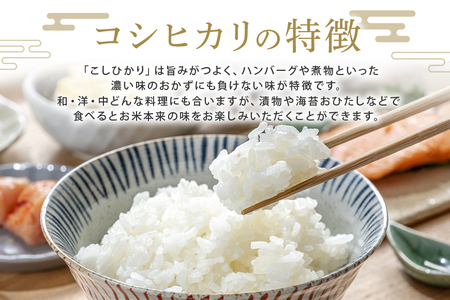 常陸大宮産 コシヒカリ 10kg(5kg×2) 特選限定米 こしひかり ブランド米 【一般財団法人常陸大宮市観光物産協会】【ho1397】