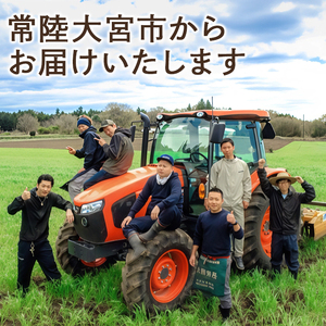 特選ネギ 約3kg 小野瀬農園 【小野瀬農園】【ho1415】