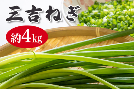 特選ネギ 約4kg 小野瀬農園 【小野瀬農園】【ho1416】