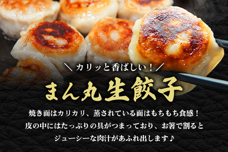 まん丸生餃子冷凍30g×60個入り（1pac 6個入り）餃子 生餃子 国産豚肉 焼餃子 ぎょうざ ギョウザ ギョーザ 冷凍餃子 冷凍生餃子 小分け お取り寄せ 惣菜 中華惣菜 点心 中華 惣菜 中華料理 飲茶 おかず おつまみ そうざい男しゃく 茨城県 常陸大宮 【そうざい男しゃく】【ho1439】
