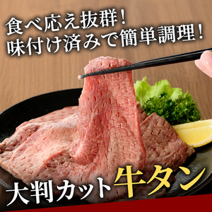 牛タン特大大判カット1kg（250g×4） 牛肉 タン たん 【牛タン】【ho1443】