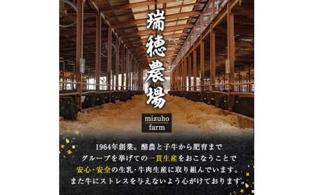 瑞穂牛切り落としセット 約1kg  【（株）フロンティアロード】【ho1448】