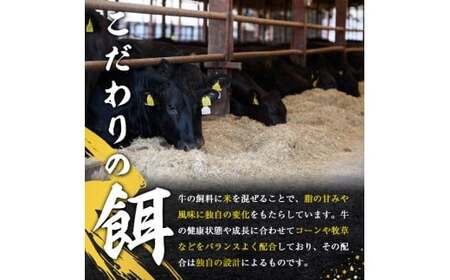 瑞穂牛切り落としセット 約1kg  【（株）フロンティアロード】【ho1448】