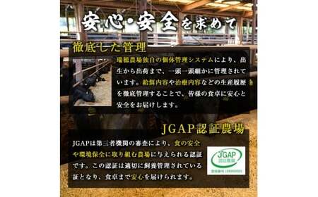 瑞穂牛切り落としセット 約1kg  【（株）フロンティアロード】【ho1448】