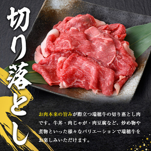 瑞穂牛切り落としセット 約4kg 牛肉【切り落とし】【ho1450】