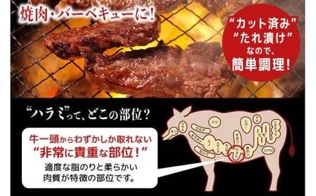 ハラミ 1kg (250g×4パック) たれ 味付 小分け焼肉 熟成 牛肉 【ハラミ】