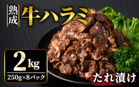熟成牛 ハラミ 2kg  (250g×8パック) たれ 味付 小分け 冷凍 焼肉 ビーフ BBQ 【そうざい男しゃく（株式会社池延）】【ho1469】