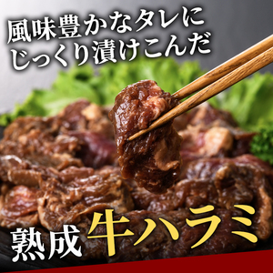 ハラミ 3kg (250g×12パック) たれ 味付 小分け焼肉 熟成 牛肉 【ハラミ】【ho1470】