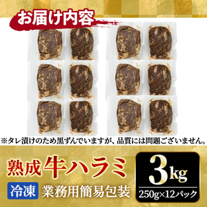 ハラミ 3kg (250g×12パック) たれ 味付 小分け焼肉 熟成 牛肉 【ハラミ】【ho1470】