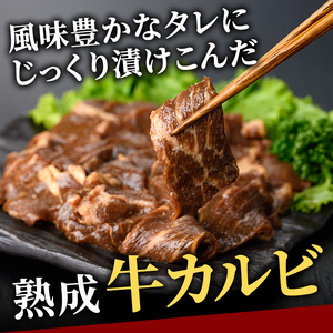 カルビ 1kg (250g×4パック) たれ 味付 小分け焼肉 熟成 牛肉 【カルビ】【ho1471】