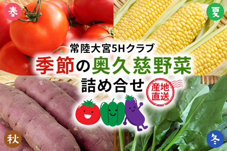 【産地直送】季節の奥久慈野菜 詰め合せセット（春、夏、秋、冬） 野菜 野菜セット 季節 セット 特産 詰め合わせ 国産 旬 おまかせ お楽しみ 直送 【常陸大宮5Hクラブ】【ho1483】