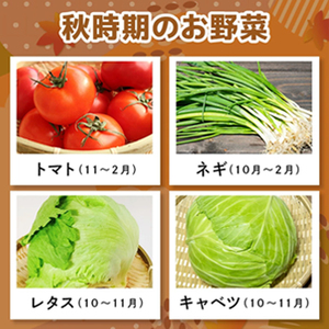 【産地直送】季節の奥久慈野菜 詰め合せセット（春、夏、秋、冬） 野菜 野菜セット 季節 セット 特産 詰め合わせ 国産 旬 おまかせ お楽しみ 直送 【常陸大宮5Hクラブ】【ho1483】