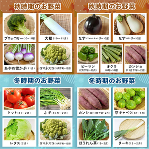 【産地直送】季節の奥久慈野菜 詰め合せセット（春、夏、秋、冬） 野菜 野菜セット 季節 セット 特産 詰め合わせ 国産 旬 おまかせ お楽しみ 直送 【常陸大宮5Hクラブ】【ho1483】