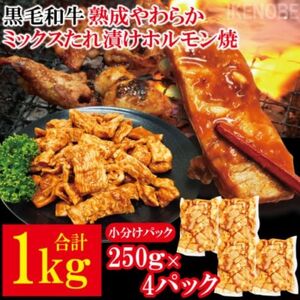 黒毛和牛熟成やわらかミックスたれ漬けホルモン焼 直営焼肉店の味1kg[250g×4P] 牛肉 黒毛和牛 和牛 ホルモン ミックス 熟成 たれ漬け タレ 味付け肉 焼肉 小分け 惣菜 おかず 弁当 冷凍 【そうざい男しゃく（株式会社池延）】 【ho1491】