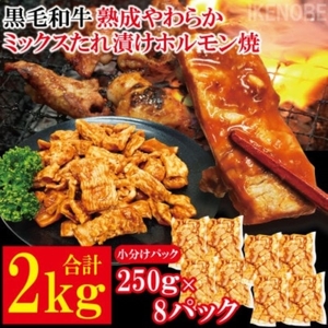 黒毛和牛熟成やわらかミックスたれ漬けホルモン焼 直営焼肉店の味2kg[250g×8P] 牛肉 黒毛和牛 和牛 ホルモン ミックス 熟成 たれ漬け タレ 味付け肉 焼肉 小分け 惣菜 おかず 弁当 冷凍 【そうざい男しゃく（株式会社池延）】 【ho1492】