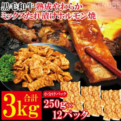 たれ漬けホルモン焼 3kg(250g×12P) 牛肉 黒毛和牛【ホルモン】【ho1493】