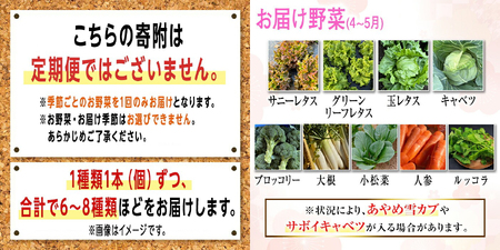 季節毎の新鮮野菜セット 野菜 野菜セット セット 詰め合わせ 国産 旬 季節 おまかせ お楽しみ 冷蔵 【あさねぼう】【ho1537】