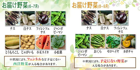 季節毎の新鮮野菜セット 野菜 野菜セット セット 詰め合わせ 国産 旬 季節 おまかせ お楽しみ 冷蔵 【あさねぼう】【ho1537】