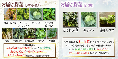 季節毎の新鮮野菜セット 野菜 野菜セット セット 詰め合わせ 国産 旬 季節 おまかせ お楽しみ 冷蔵 【あさねぼう】【ho1537】