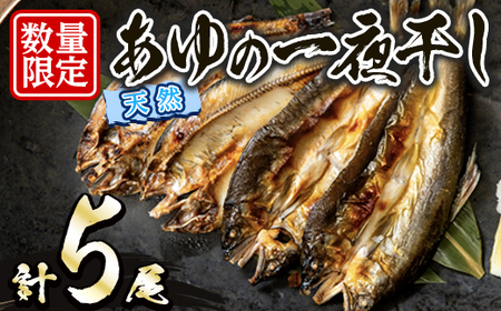 久慈川産 天然あゆの一夜干し 鮎 魚介 川魚 【木村信次商店/丸信ドライブイン】【ho1551】