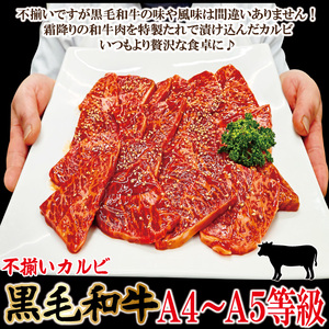 霜降り黒毛和牛 厚切り 不揃い 特製タレ漬カルビ 1kg 冷凍 小分け 焼肉 【そうざい男しゃく（株式会社池延）】【ho1594】